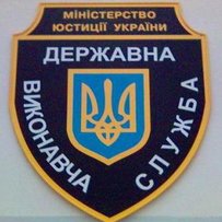 Дмитро СТОРОЖУК: «На публічних торгах нові автомобілі продавали  як металобрухт»