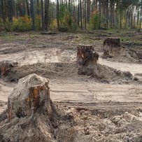 Розважальні заклади чи заповідники?