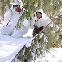 Прикордонна служба:  що зроблено