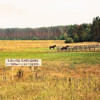 Коли годувальниця піде з молотка?