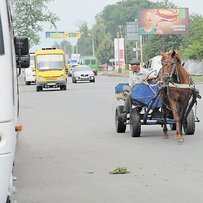 Чому й досі править бал нелегал