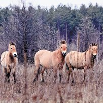 Новий погляд на зону, клімат і національні парки