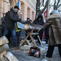 Чи врятує мораторій  наше зелене багатство