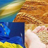 Мислити — творчо, приймати рішення — самостійно