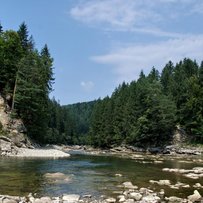 Про лосів, Дністер і долю пралісів