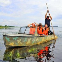 Волинське закрайсвіття