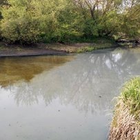 Великі проблеми малої Хомори