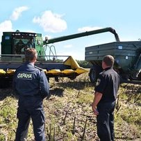 Чому аграрне рейдерство безкарне?