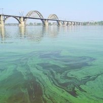 Чому зеленіють блакитні простори