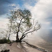 А без води і не туди і не сюди