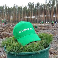 Весна: час садити ліс