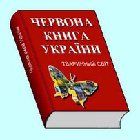 Свиня потрапить до Червоної книги?