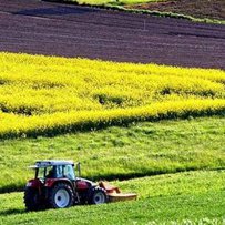 Негативний досвід — також досвід