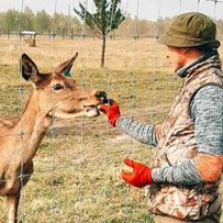 Звідки на Cумщині з’явився Спартак