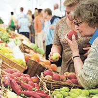 Про клімат, рентабельність і змову