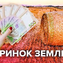  Ринок землі: тенденції є, висновки робити зарано