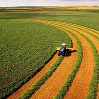 Ринок землі успішно працює попри війну