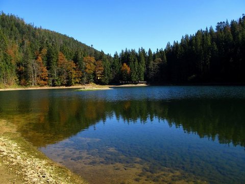 Вражаюче відео з озера Синевир