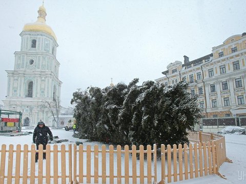  Як прикрашають головну ялинку країни